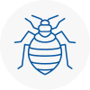 Bed Bug Extermination In Cowley