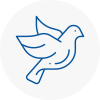 Bird Prevention Cowley