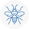 Cowley Hornet Nest Removals