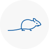 Mice Exterminators In Cowley