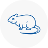 Rat Control Cowley
