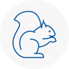 Cowley Rodent Removals