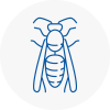 Cowley Wasp Nest Removal